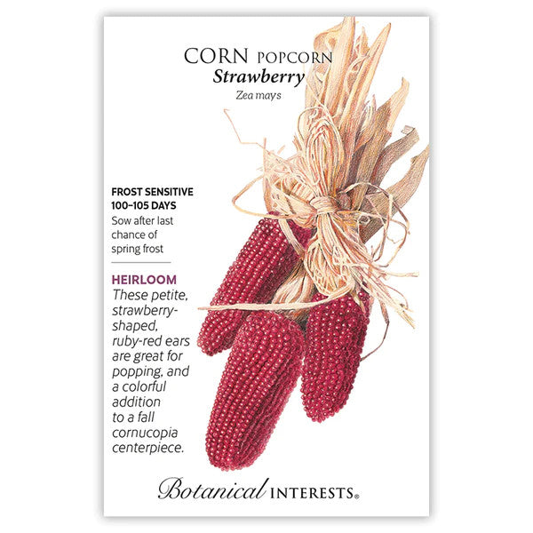 Botanical Interests - Popcorn Strawberry
