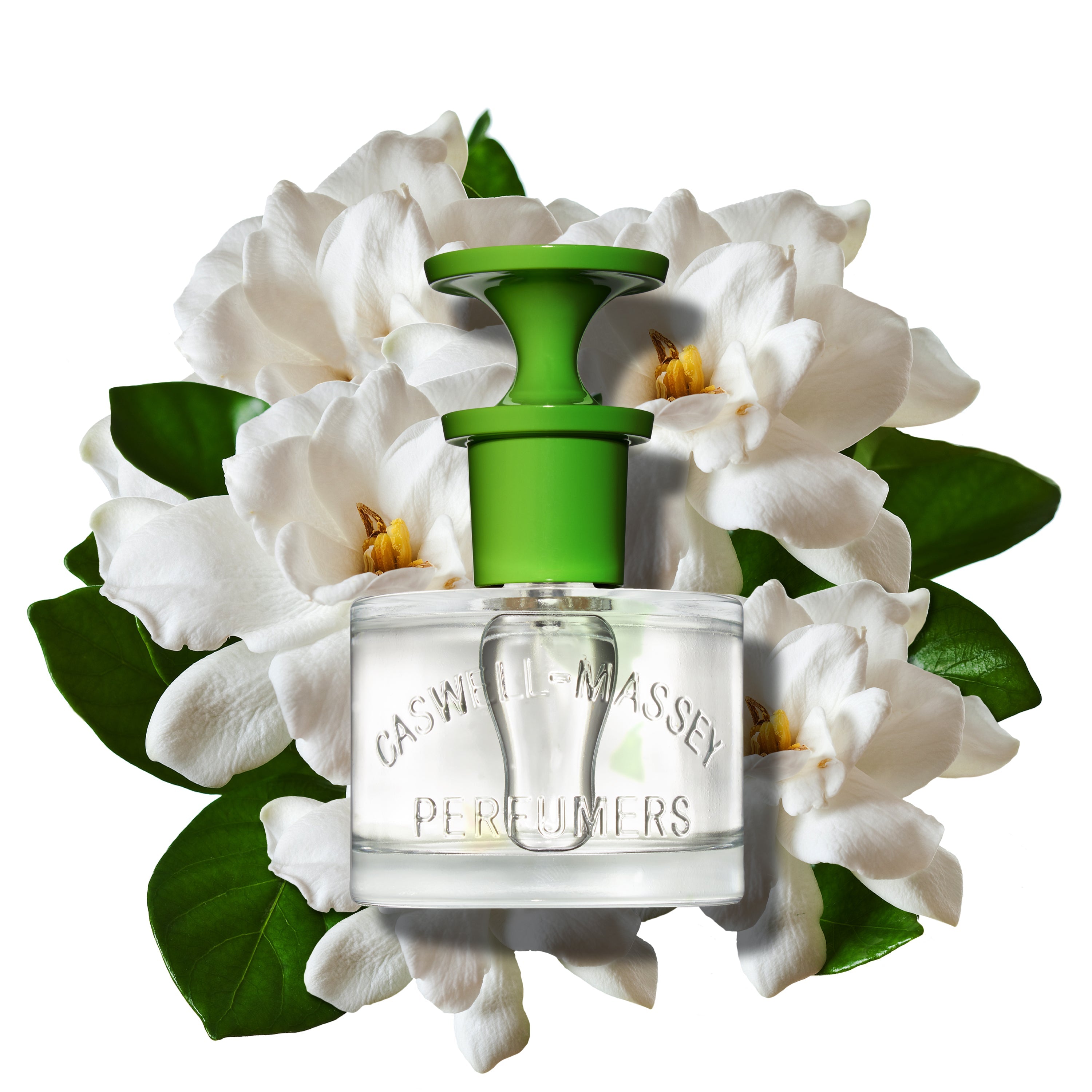 Gardenia Eau de Toilette | Fine Fragrance | Caswell-Massey – NYBG SHOP