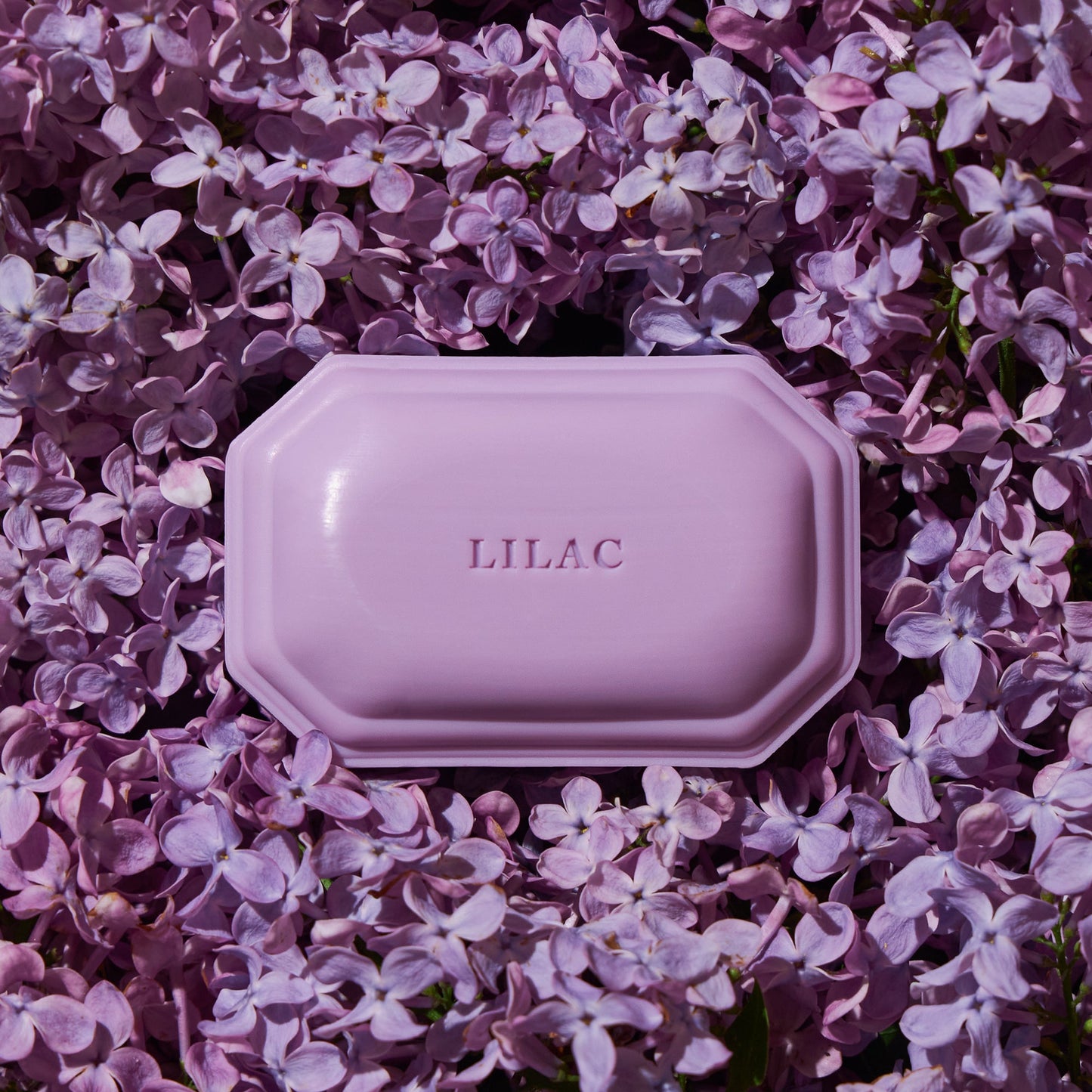 Lilac Bar Soap Bar Soap Caswell-Massey