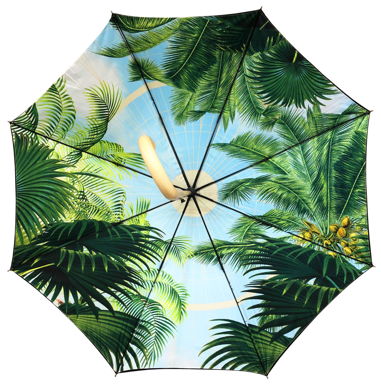 dome patio umbrella NYBG Conservatory Dome Umbrella – NYBG SHOP