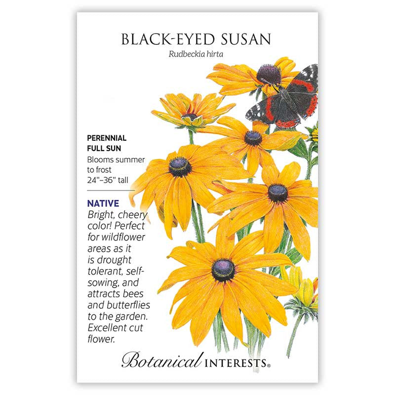 Botanical Interests - Black-Eyed Susan
