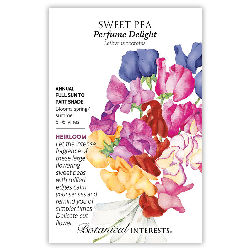 Botanical Interests - Sweet Pea Perfume Delight