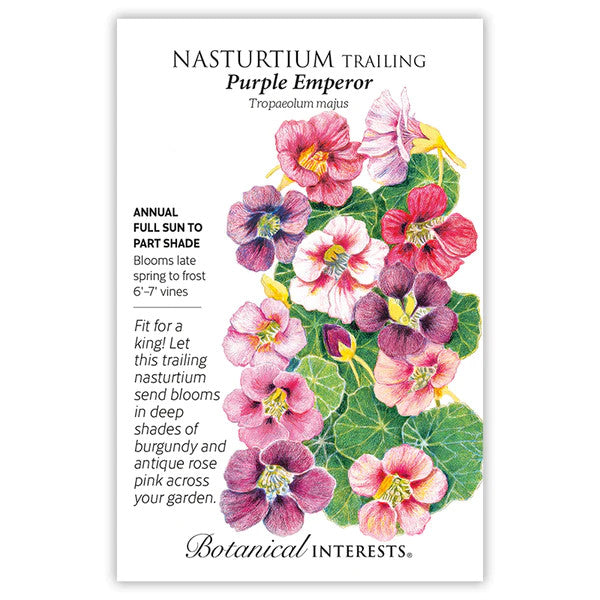 Botanical Interests - Nasturtium Purple Emperor