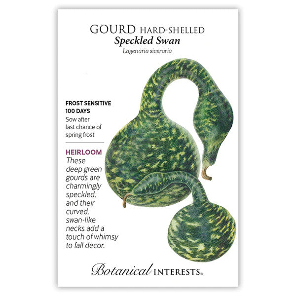 Botanical Interests - Speckled Swan Hard-shelled Gourd