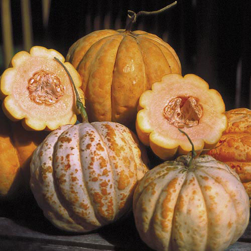 Seed Savers - Delice de la Tale Melon