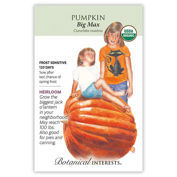 Botanical Interests - Big Max Pumpkin