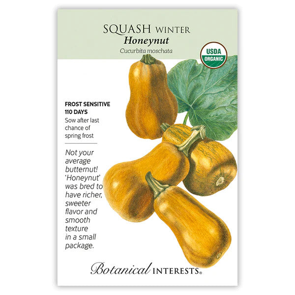 Botanical Interests - Honeynut Squash