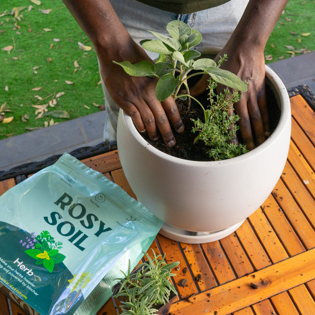 potting mix or garden soil for herbs Rosy Soil - Herb Mix 4 QT