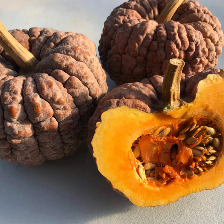 Black Futsu Squash|Hudson Valley Seed Co – NYBG SHOP