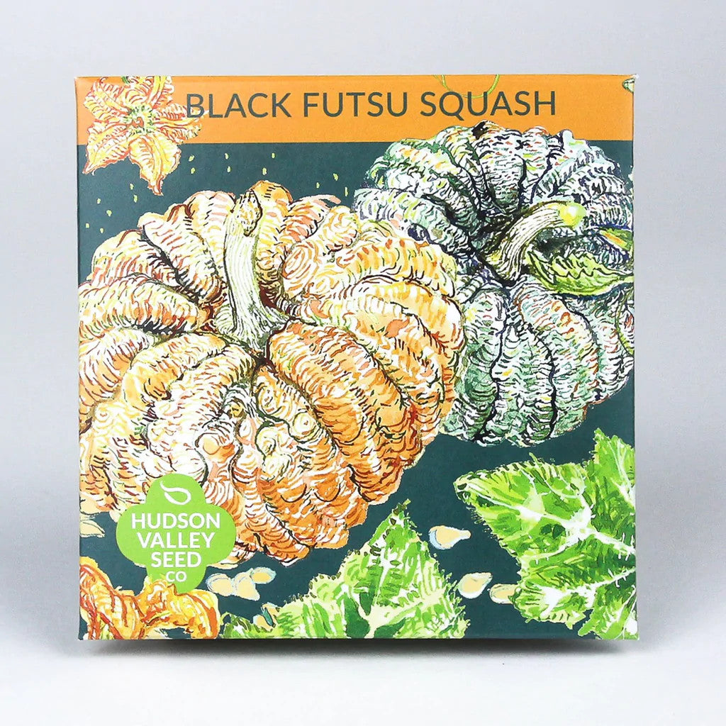 Hudson Valley Seed Library - Black Futsu Squash