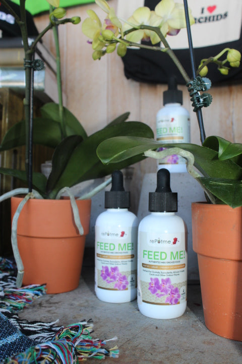 MSU Orchid Fertilizer | Repotme – NYBG SHOP