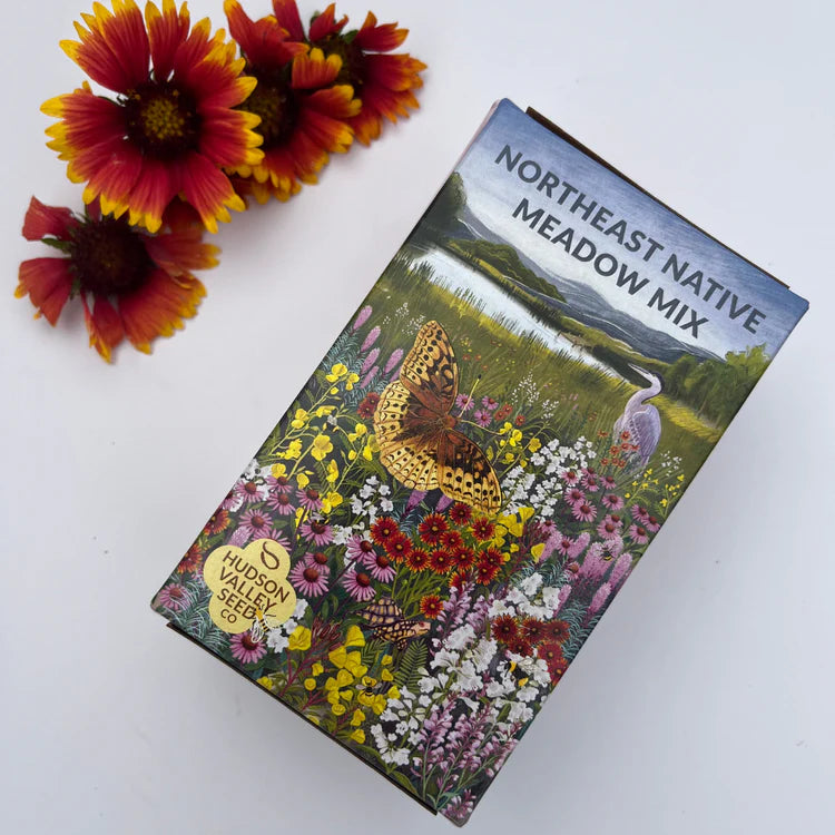 Northeast Native Wildflower Mix Seed Shaker | Hudson Valley Seed