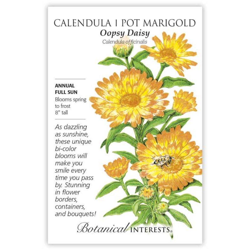 Botanical Interests - Calendula Oopsy Daisy Seeds