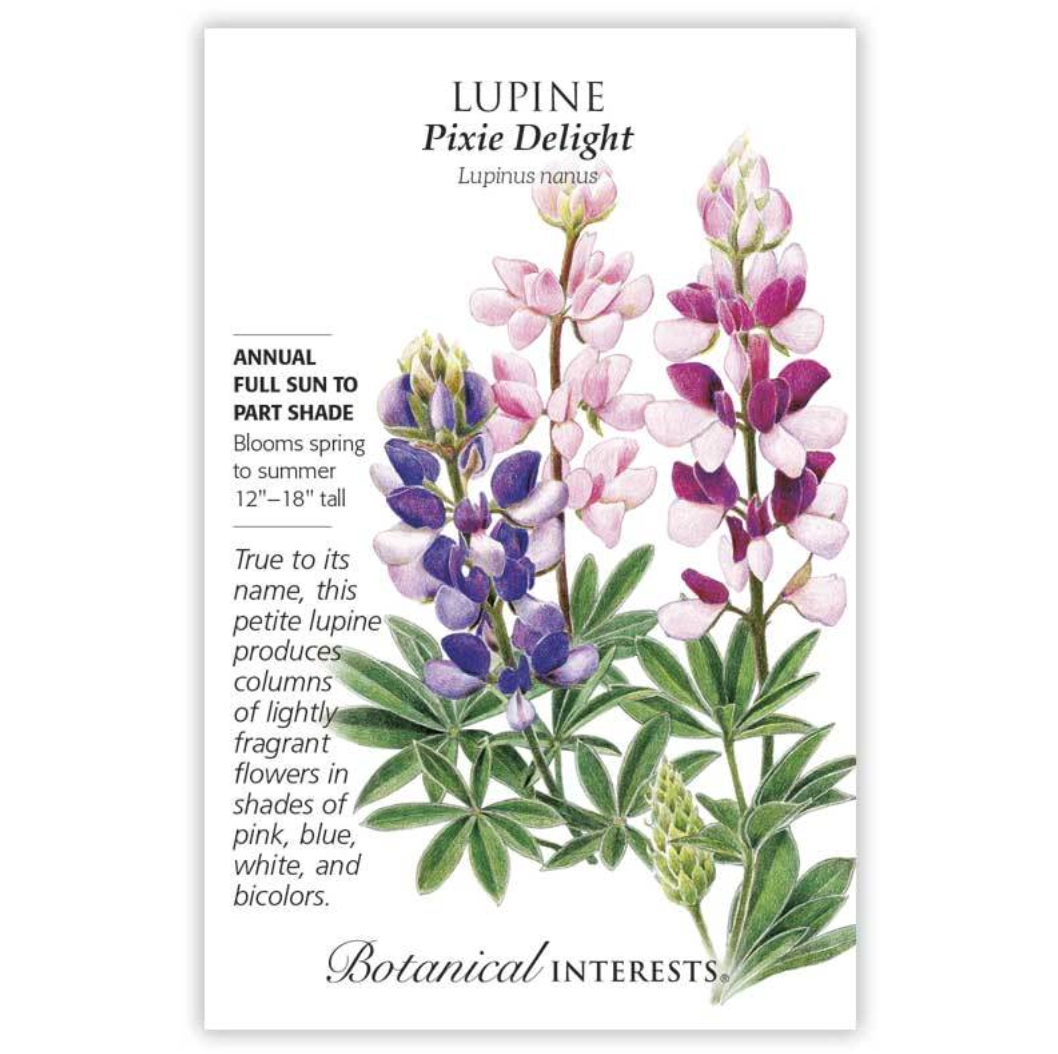 Botanical Interests - Lupine Pixie Delight Seeds