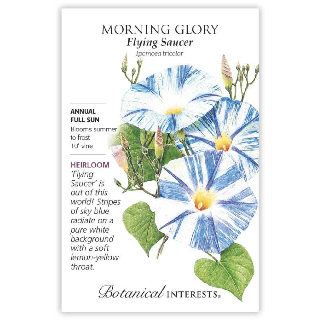 Botanical Interests - Morning Glory Flying Saucer Seeds