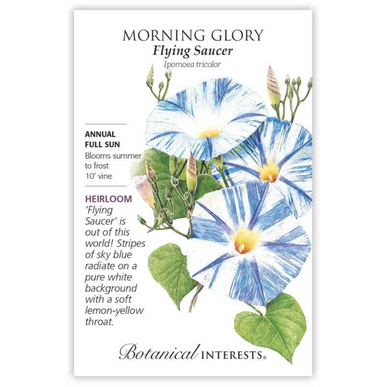 botanical interests flower seeds Flying Saucer Morning Glory Seeds