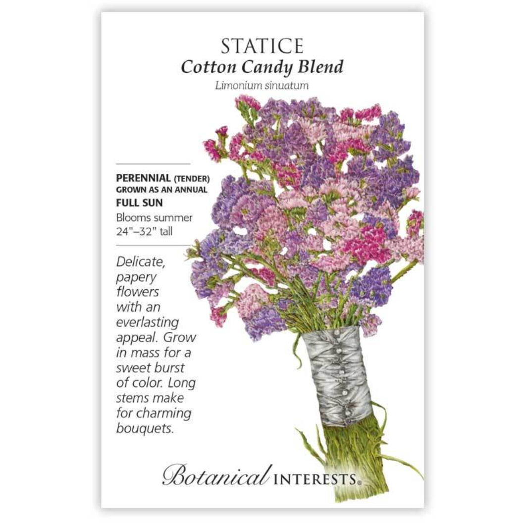 Botanical Interests - Statice Cotton Candy Blend Seeds