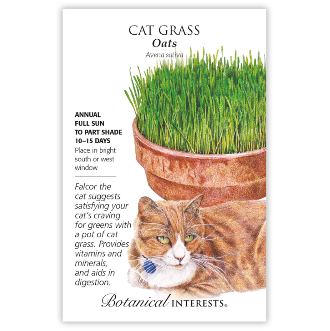 Cat Grass Organic | Botanical Interests – NYBG SHOP