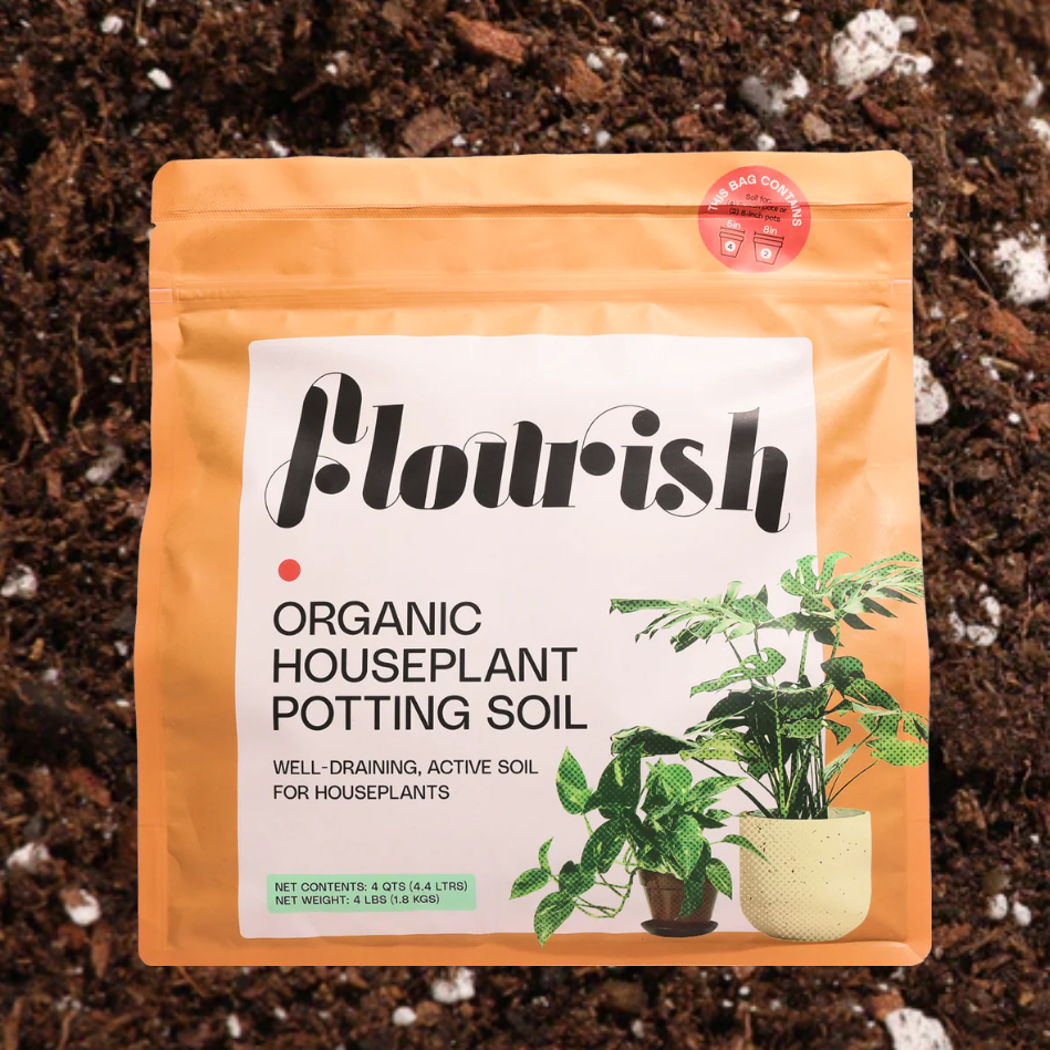 house plant potting soil Organic Houseplant Potting Soil
