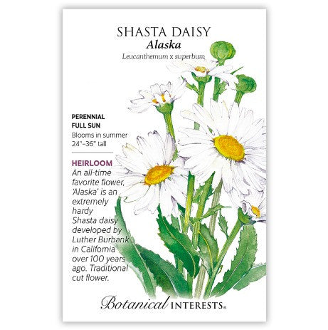 Botanical Interests - Shasta Daisy Alaska