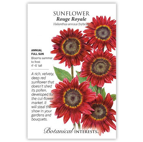 Botanical Interests - Rouge Royal Sunflower