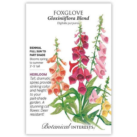Botanical Interests - Gloxiniiflora Blend Foxglove