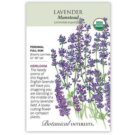 Botanical Interests - Munstead Lavender