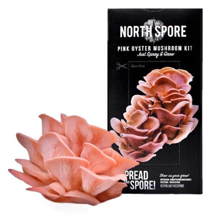 mushroom　0120 Organic Pink Oyster 'Spray & Grow' Mushroom Growing Kit