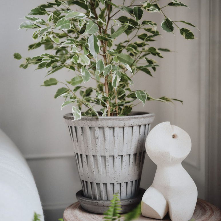 Pantheon | Bergs Potter – NYBG SHOP