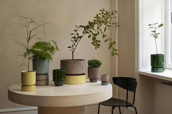 Hoff | Bergs Potter – NYBG SHOP
