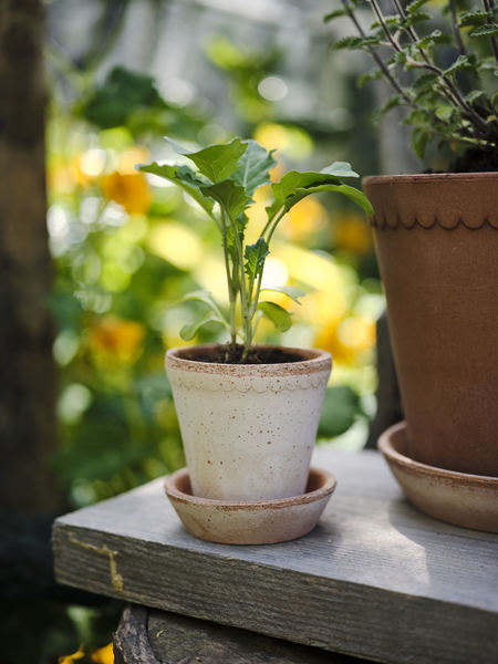 bergs potter plant pot Helena
