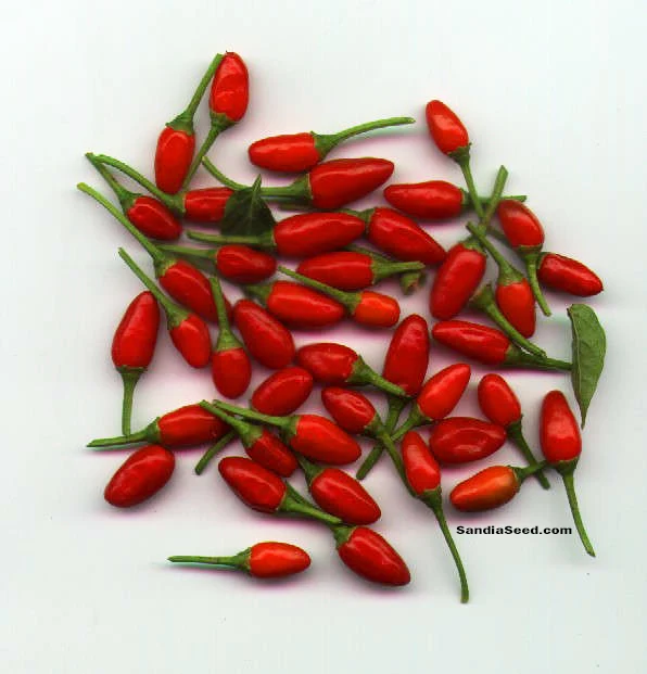 Bird Pepper Seeds - Pequin/Piquin