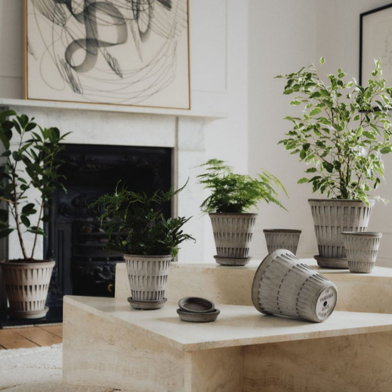 bergs plant pots Pantheon