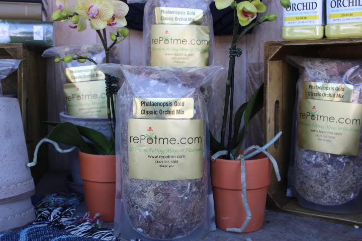 phalaenopsis orchid potting mix Phalaenopsis Gold Classic Orchid Mix