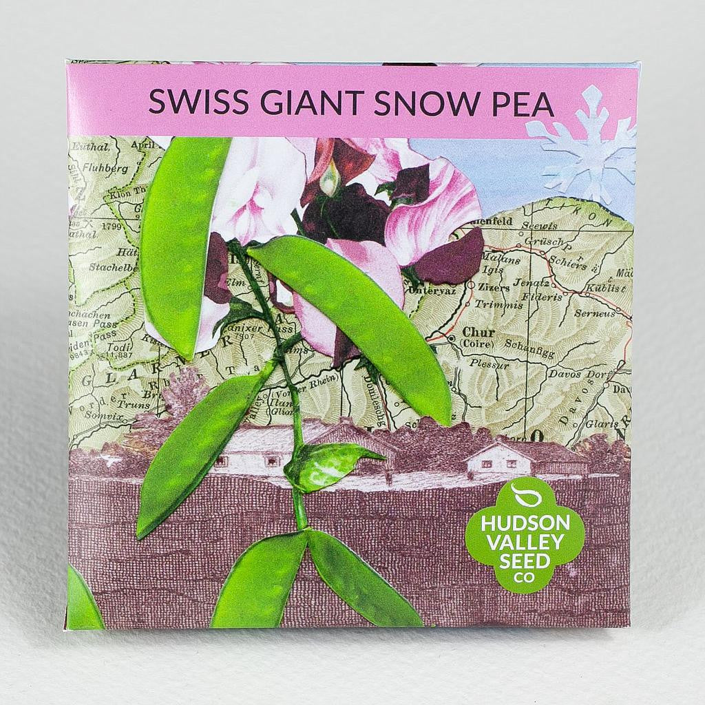 Hudson Valley Seed Library - Swiss Giant Snow Pea