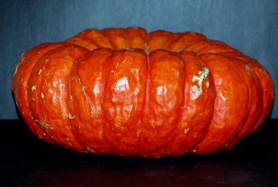 Southern Exposure Seed Exchange - Rouge Vif d’Etampes Pumpkin