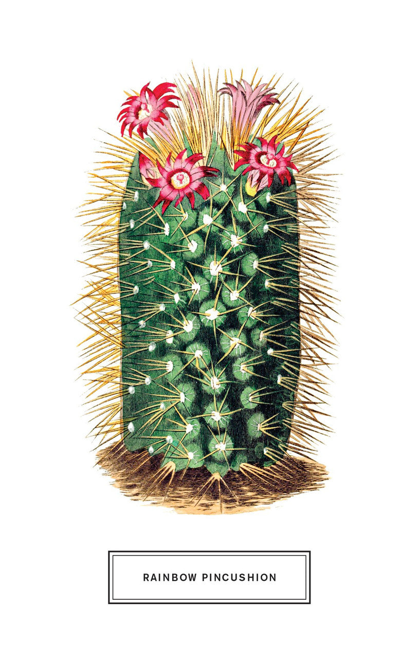 Botanicals: 100 Postcards From The Archives of The New York