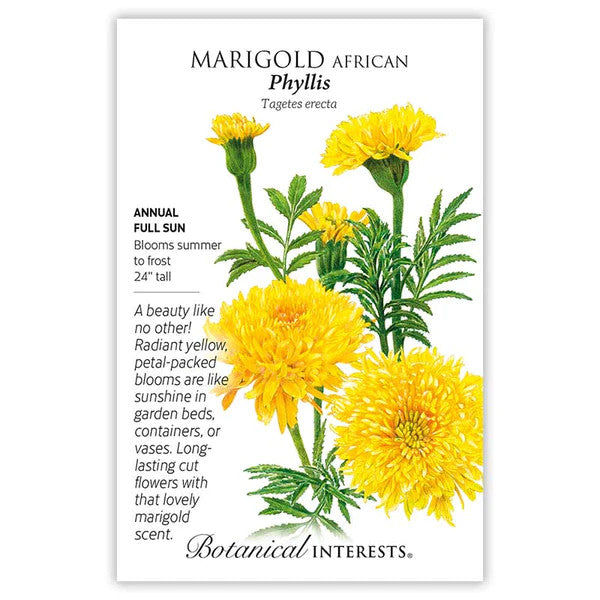 Botanical Interests - African Phyllis Yellow Marigold