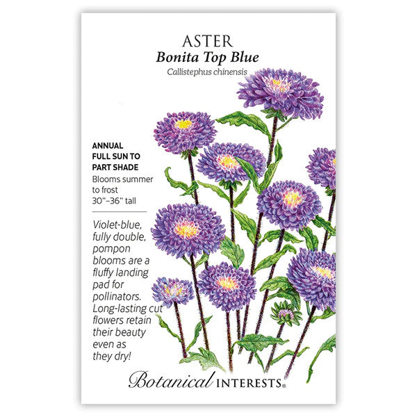 Botanical Interests - Bonita Top Blue Aster