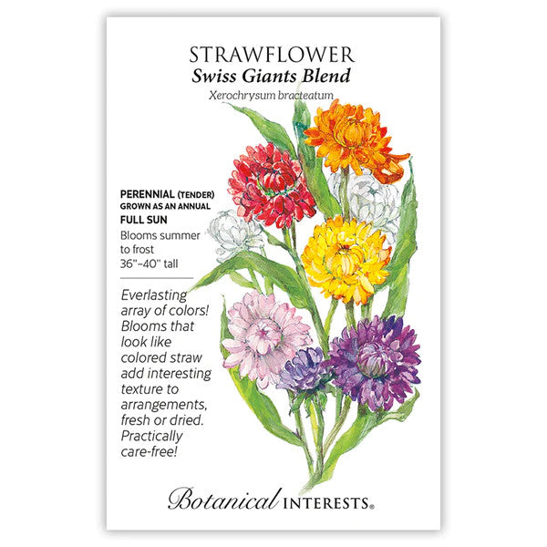 Botanical Interests - Swiss Giants Blend Strawflower
