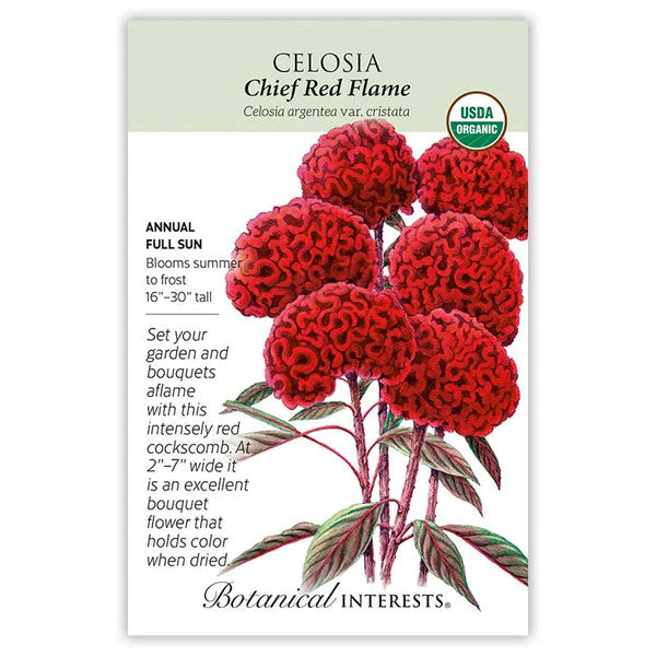 Botanical Interests - Chief Red Flame Celosia