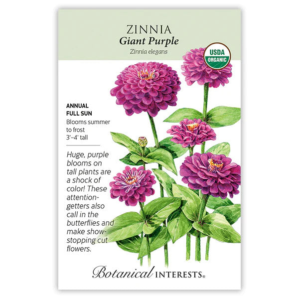 Botanical Interests - Giant Purple Zinnia
