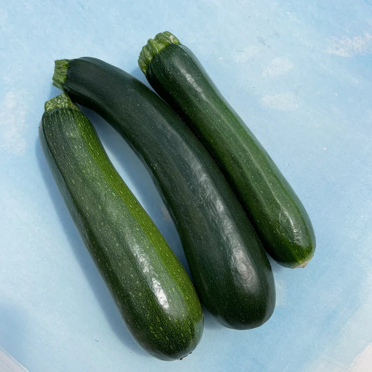 Hudson Valley Seed Co. Dark Star Zucchini Seeds