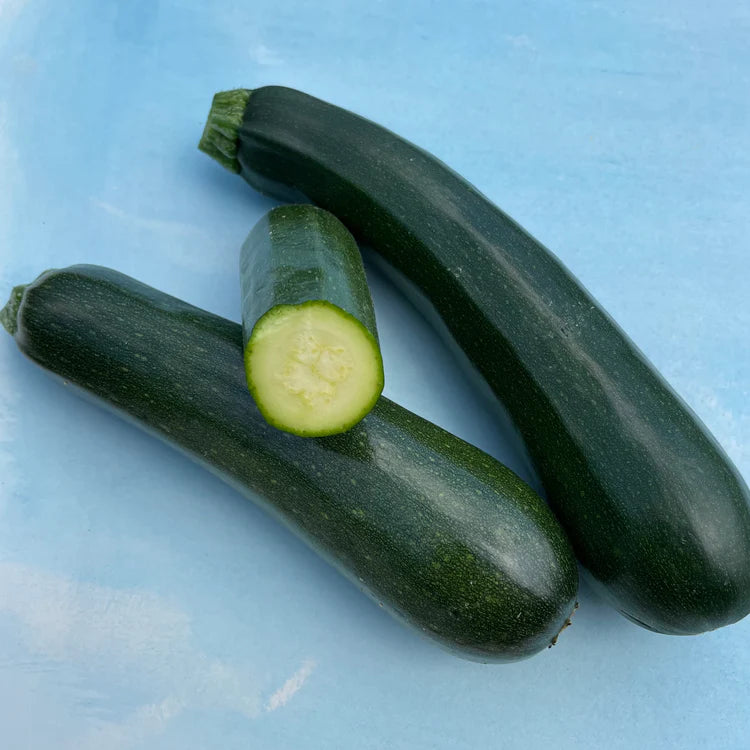 Hudson Valley Seed Co. Dark Star Zucchini Seeds - Thumbnail 4