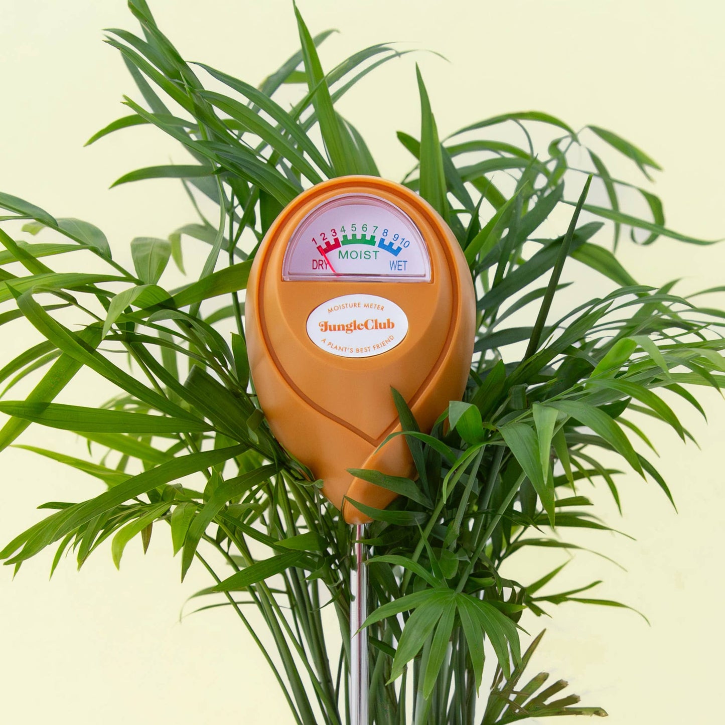 house plant moisture indicator Moisture Meter
