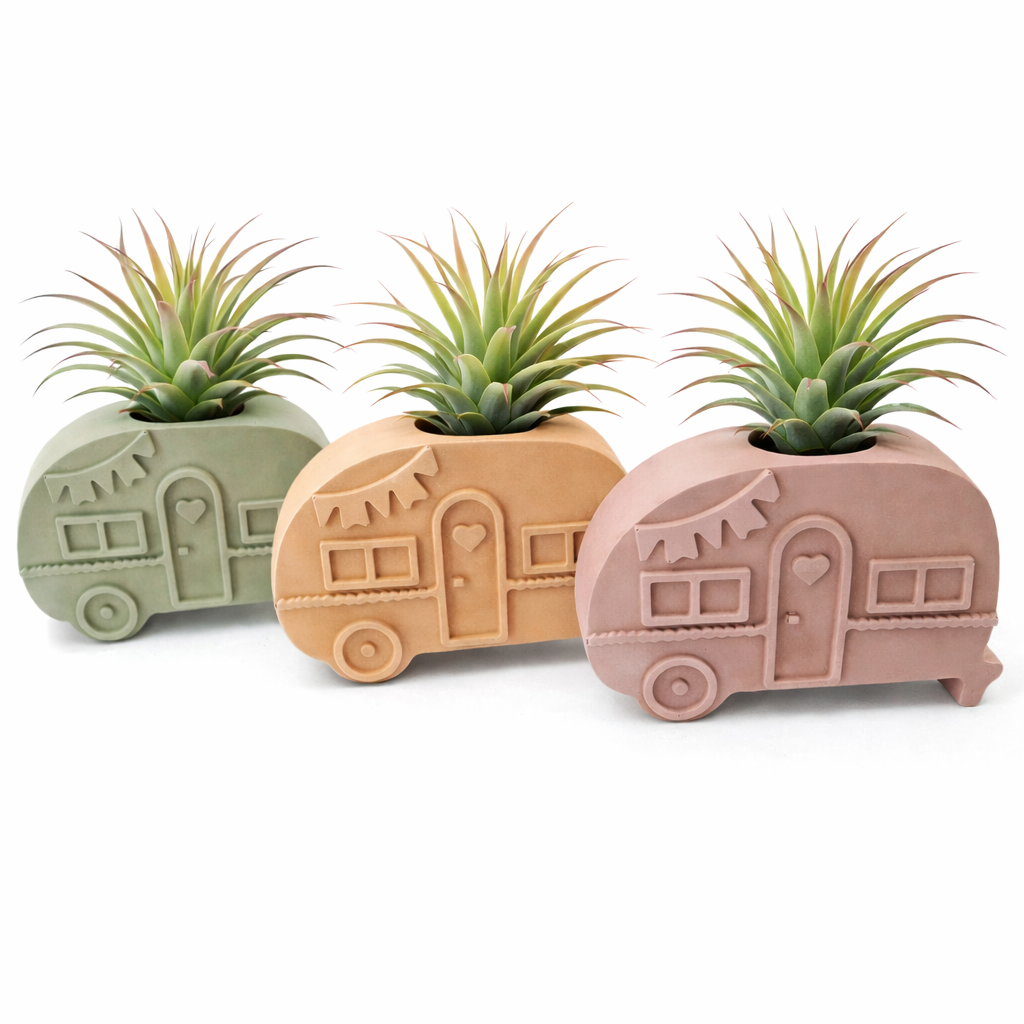 The Adventurer|Air Plant Holder Tangerine