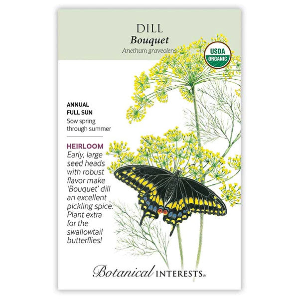 Botanical Interest - Dill Bouquet