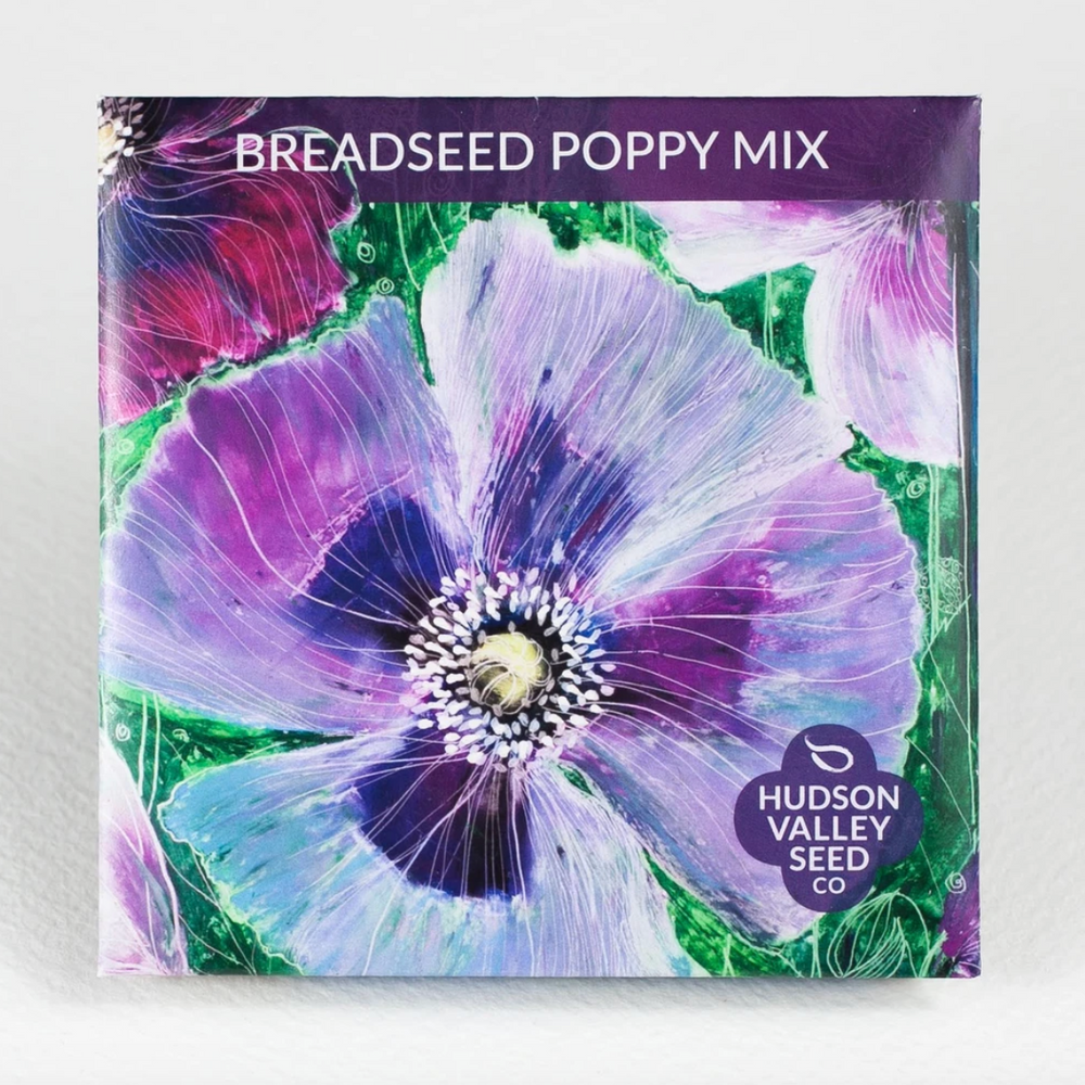 
                  
                    Hudson Valley Seed Library - Breadseed Poppy Mix
                  
                