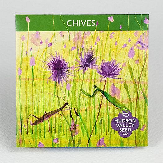 Chive Seeds Art Pack