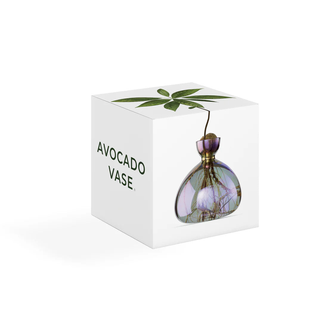 Ilex Studio Cosmic Vega Avocado Vase